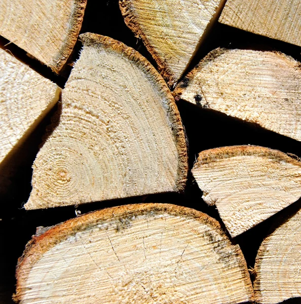 Pile de grumes en bois empilées pour le bois de chauffage — Photo