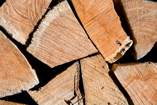 Pile of oak wooden logs stacked for firewood — Stock Photo, Image