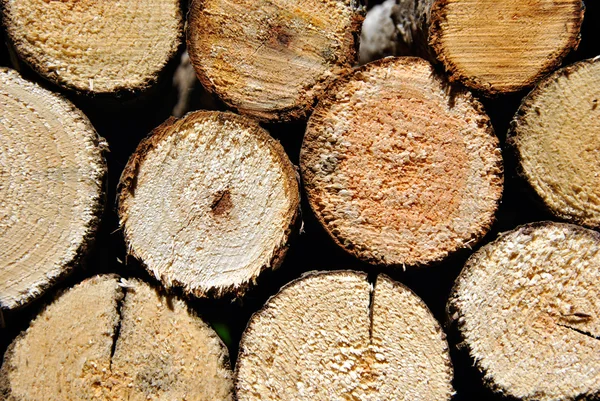 Pile of round stacked logs for firewood — Stock Photo, Image