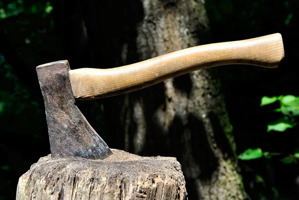 Old Lumberjack's Axe stuck in a chopping block — Stock Photo, Image