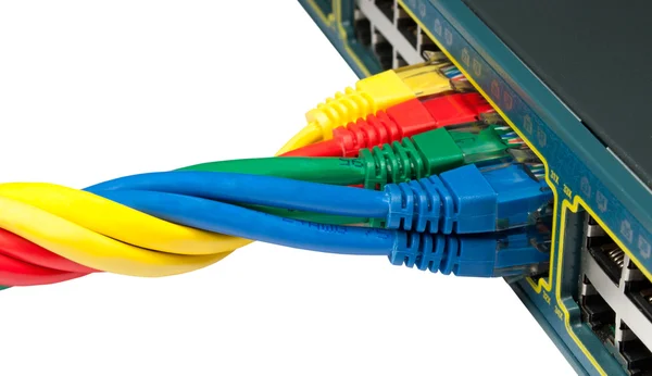 Cavi di rete Ethernet intrecciati connessi a un hub, commutatore — Foto Stock