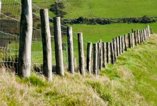 Posts Wodden com cerca de arame de metal no campo de gado — Fotografia de Stock