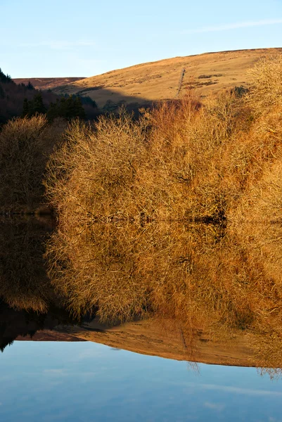 Lake Reflection. Árboles y fuente en invierno —  Fotos de Stock