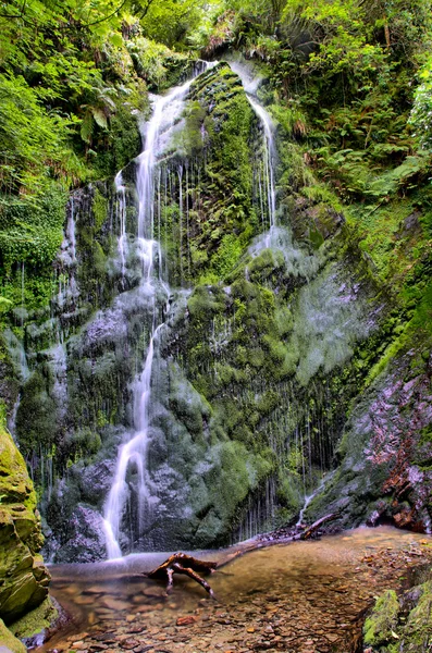 Hoher dynamischer Bereich - hdr Wasserfall im Wald — Stockfoto