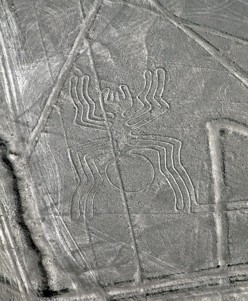 Nazca lines - spider - letecký pohled — Stock fotografie