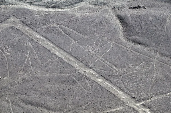 Nazca lijnen - walvis - luchtfoto — Stockfoto