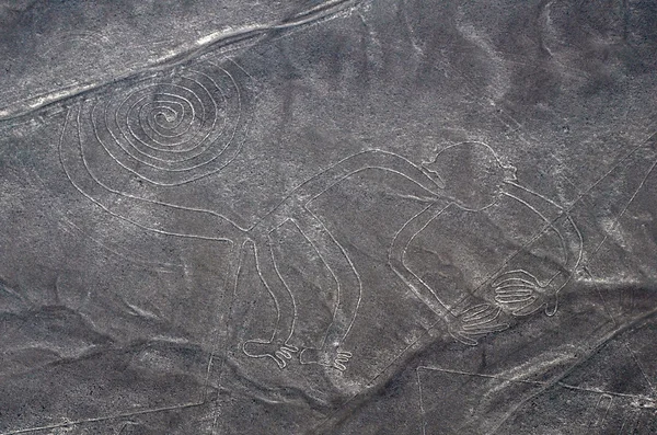 ナスカの地上絵行 - 猿 - 航空写真ビュー — ストック写真