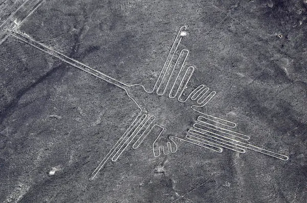 Nazca linky - humming bird - letecký pohled — Stock fotografie
