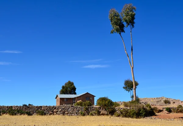 House and tree on Amantani Island — Stock Photo, Image