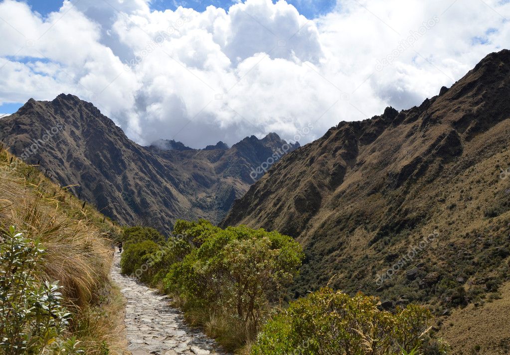 Stone Inca Trail Path in the Andes