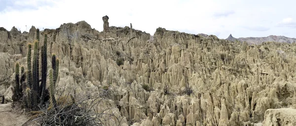 stock image Moon Valley in La Paz Bolivia with Cactus