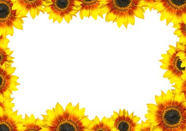 Sunflower Frame with place for your text clipart