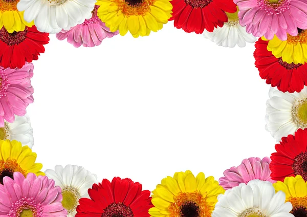 Rahmen voller farbenfroher Gerbera-Blumen — Stockfoto