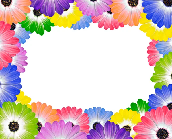 stock image Colorful Daisy Flowers Around Edge of Frame