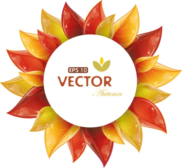Round design of autumnal leaves — Stock Vector
