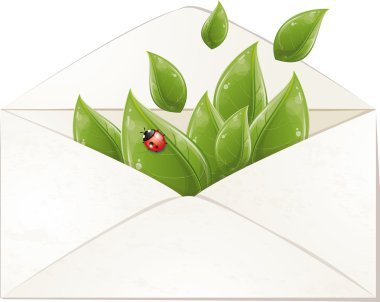 Spring envelope with leaves and ladybug clipart