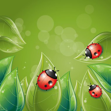 uğur böceği ile yeşil yaprakları tasarım
