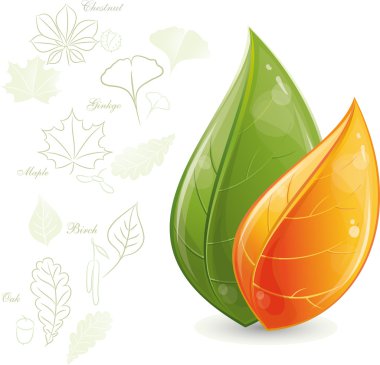 Green leaves design clipart