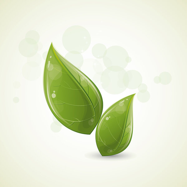 зеленые листья