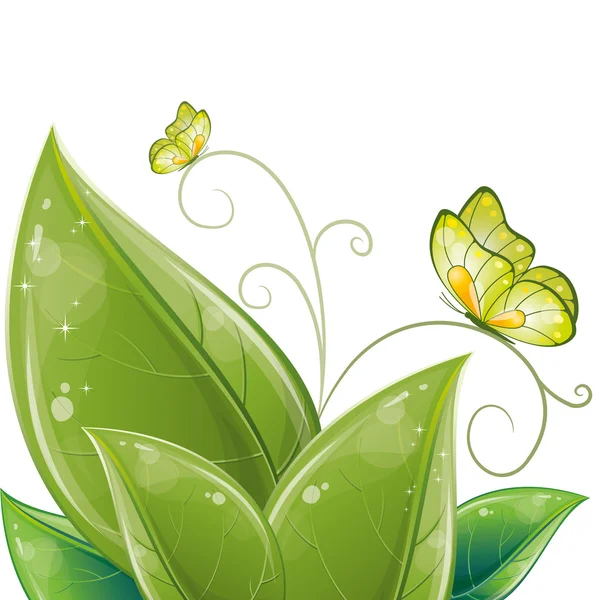 Diseño de hojas verdes con mariposa — Vector de stock