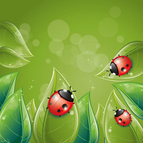 Green leaves design with ladybug — Stock Vector