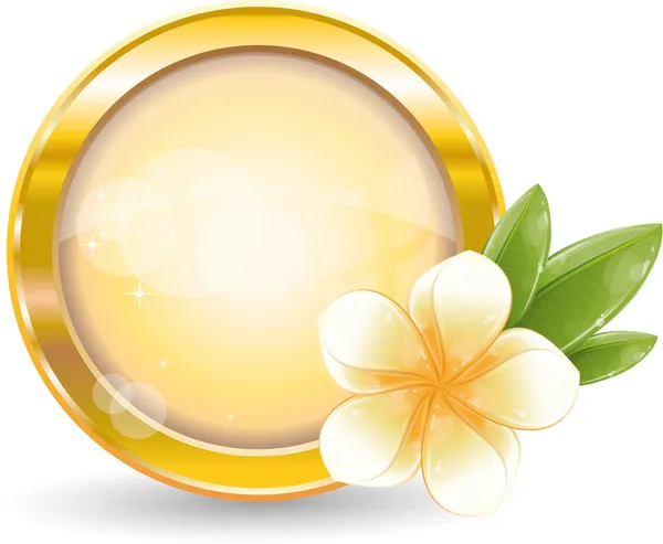 Marco de círculo de oro con flor de frangipani blanco — Vector de stock