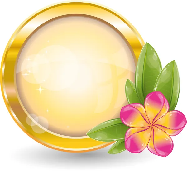 Gold circle frame with pink frangipani flower — Stock Vector