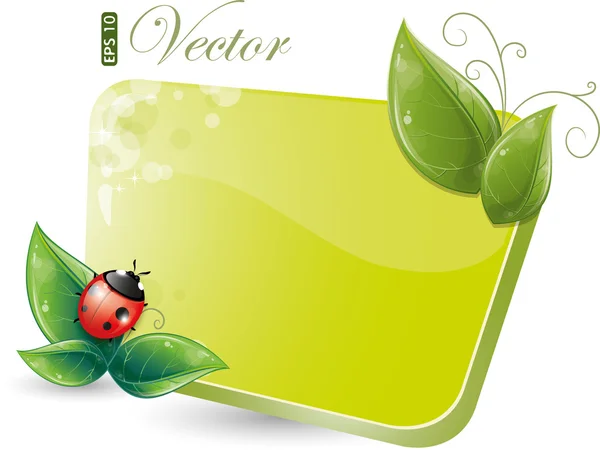 Green form with leaves and ladybug — Stock Vector