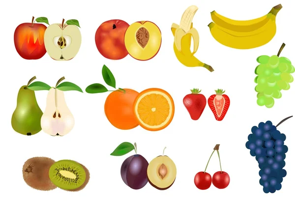 Fruit set — Stock Vector