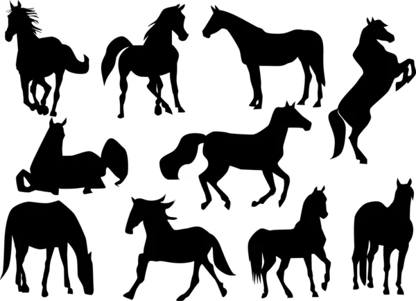 Horse silhouettes — Stock Vector