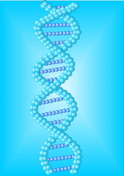 stock vector Dna helix