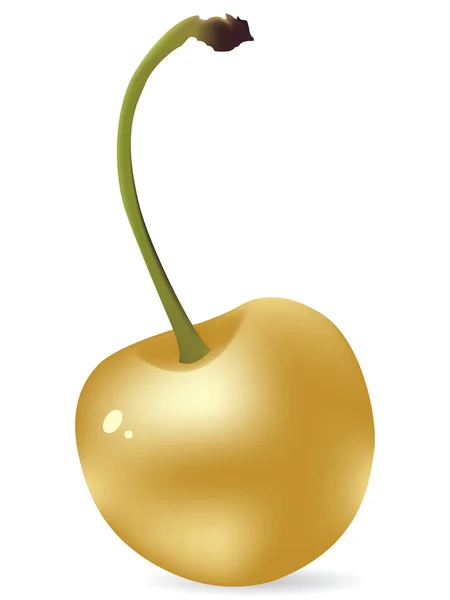 Cherry emas - Stok Vektor