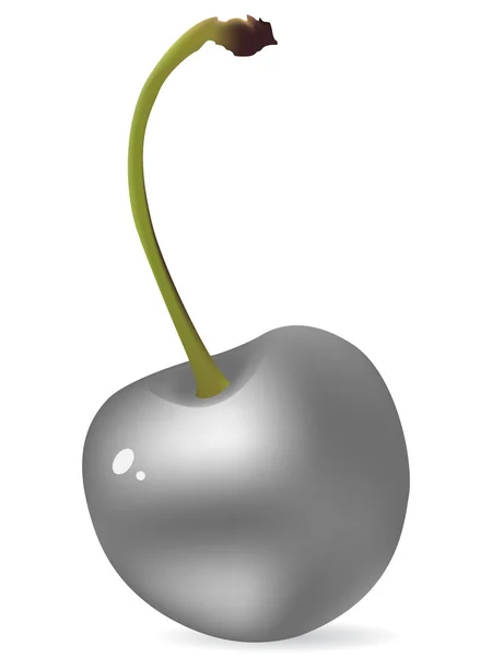Cerise argentée — Image vectorielle