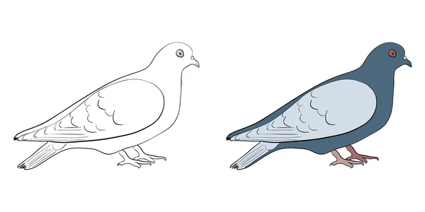 Silhouette de colombe — Image vectorielle