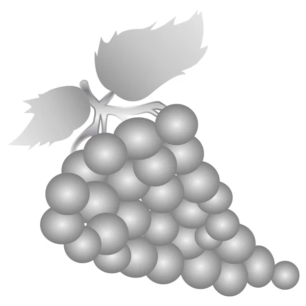 Silver grape — Stock Vector