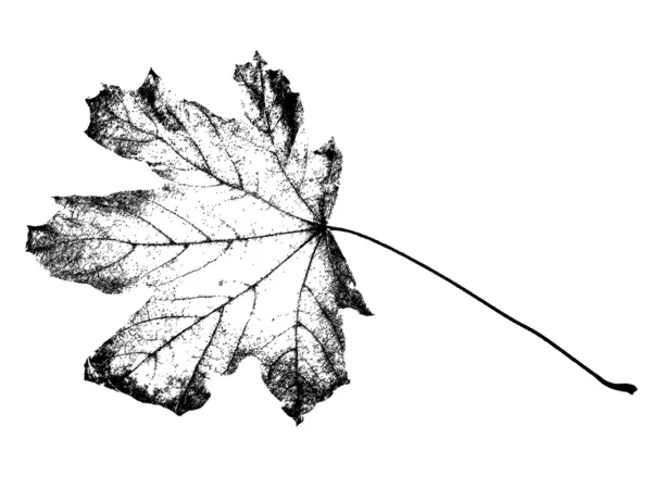 Граненый лист — стоковый вектор