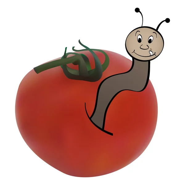 Tomate rouge avec ver — Image vectorielle