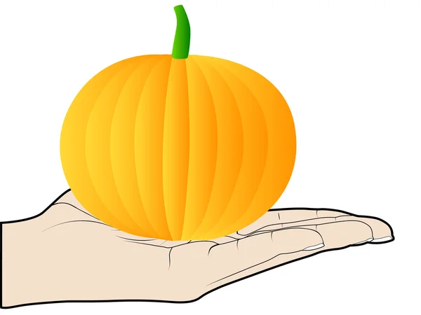 Human hand offer an pumpkin — Stock Vector