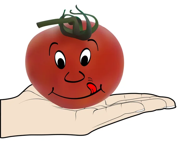 Oferta humana um tomate — Vetor de Stock