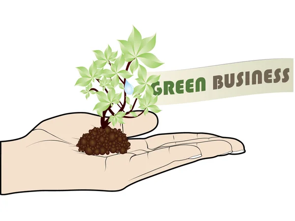 Green business offer — Stock Vector