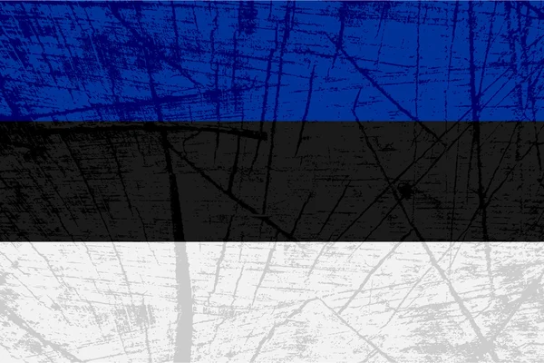 Bandeira da Estónia — Vetor de Stock