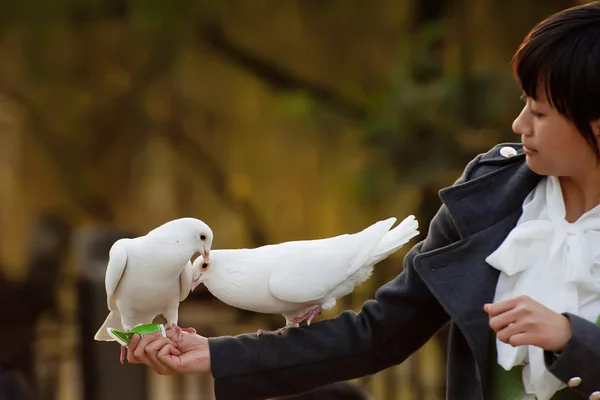 순수한 흰 비둘기와 소녀 — 스톡 사진