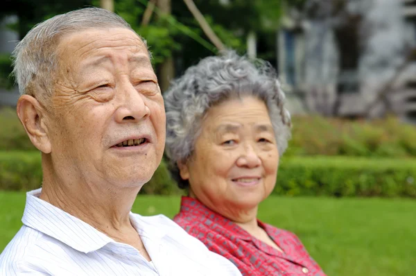 Porträtt av Glad morfar och mormor — Stockfoto