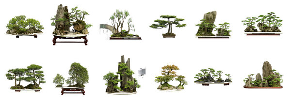 Collection of the best china bonsai with white isolated backgrou