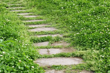 Stone path in lawn clipart