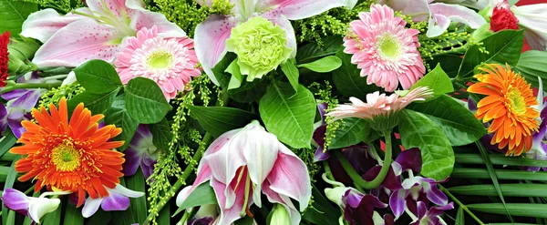 stock image Arranging flowers