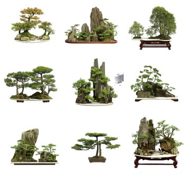 Collection of the best china bonsai with white isolated backgrou clipart