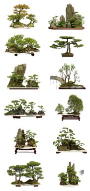 Collection of the best china bonsai with white isolated backgrou clipart