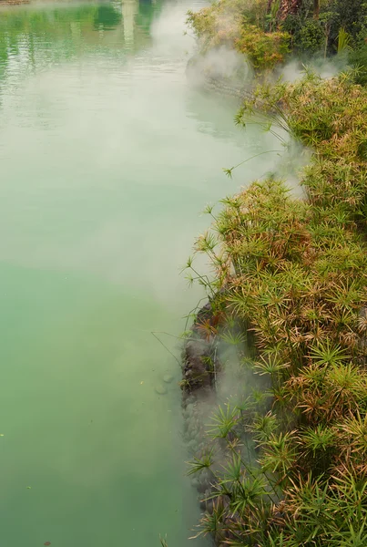 Quiet pond in the mist — Stock Photo, Image