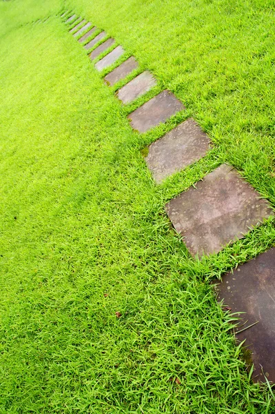 stock image A path in the green lawn